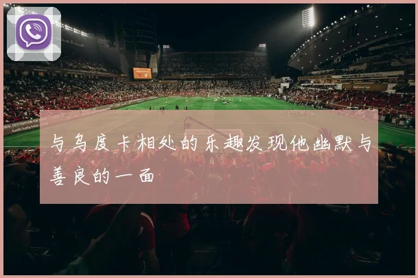 与乌度卡相处的乐趣发现他幽默与善良的一面