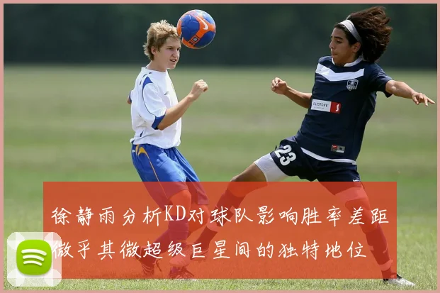 徐静雨分析KD对球队影响胜率差距微乎其微超级巨星间的独特地位